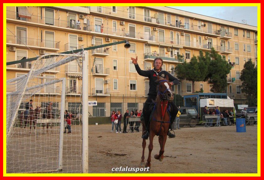 161106 equestre 098_tn.jpg